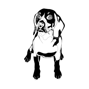 Beagle In Black T-Shirt