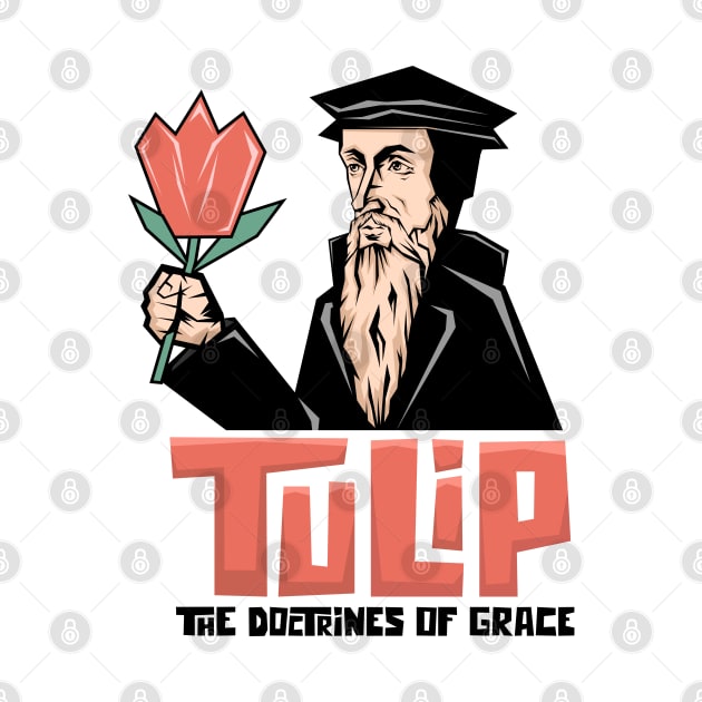 TULIP - The doctrines of grace by Reformer