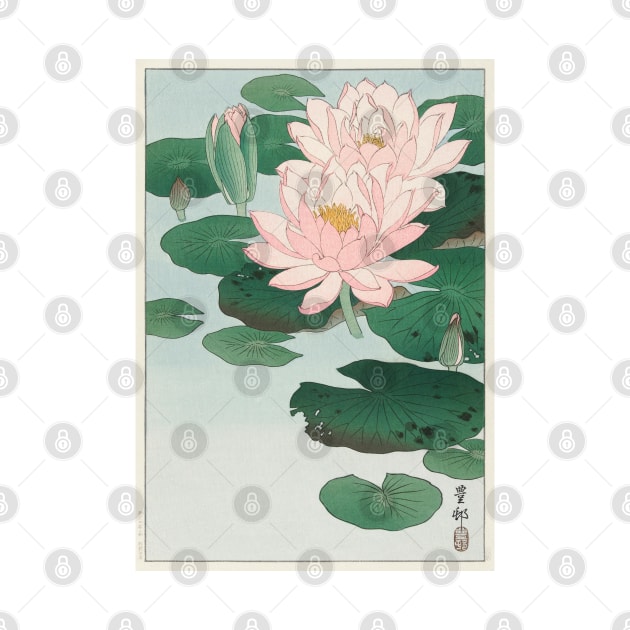 Ohara Koson, Water Lily by kanchan