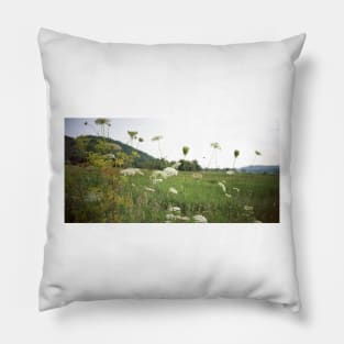 Queen Anne's Lace - Lomo Belair Photograph Pillow