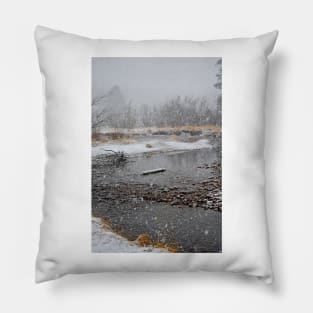 RMNP Winter Study 9 Pillow