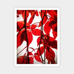 Red Leaves: Brilliant leafy pattern in scarlet and crimson with a canvas look Magnet