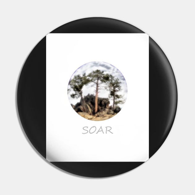 Soar Pin by art64