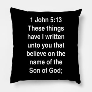 1 John 5:13  King James Version (KJV) Bible Verse Typography Pillow