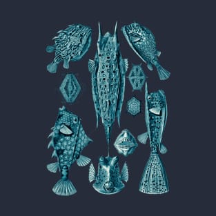 Ernst Haeckel Ostraciontes Fish Cerulean T-Shirt