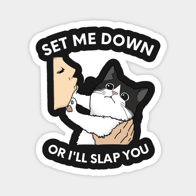 Set Me Down Or I'll Slap You Black and White Cat, Chonk Slap Funny Design Magnet by ThatVibe