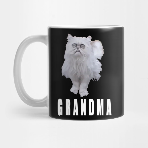 This Stray Cat Looks Like Grandma Meme Cat Mug Teepublic