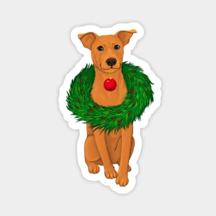 Cute brown staffy dog with a Christmas wreath Magnet