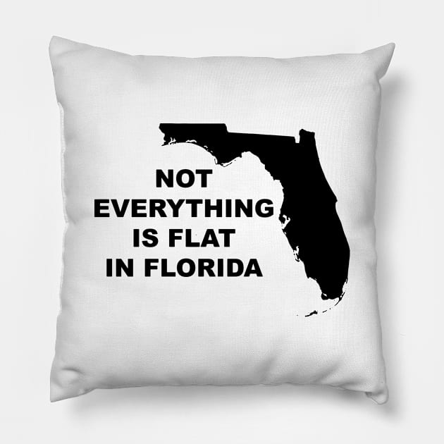 Florida Pillow by TheCosmicTradingPost