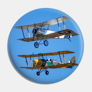 Tiger Moths Pin