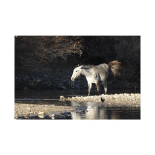 Wild Horses, Salt River, Arizona T-Shirt