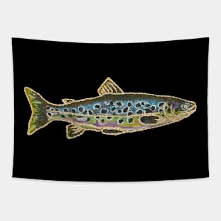 Fishes in Stitches 018 Trout Tapestry