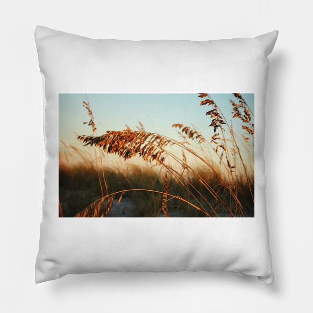 Sunlight On Sea Oats Pillow by Cynthia48