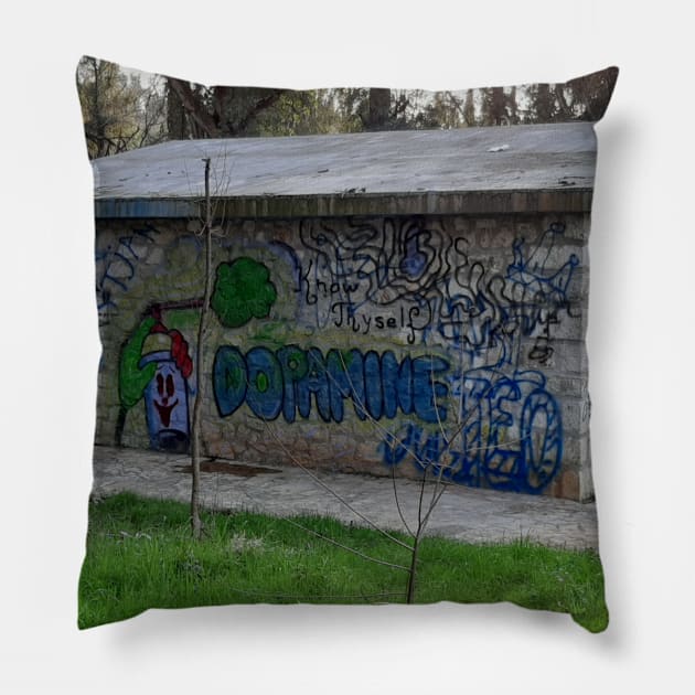 Dopamine grafitti Pillow by Stephfuccio.com