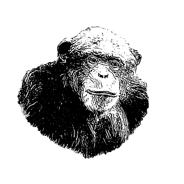 Chimpanzee by Guardi