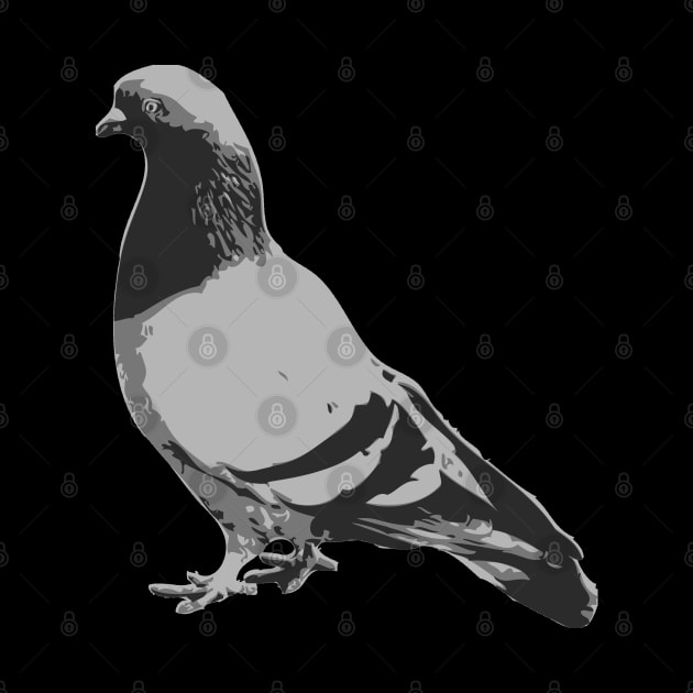 PIGEON by trev4000