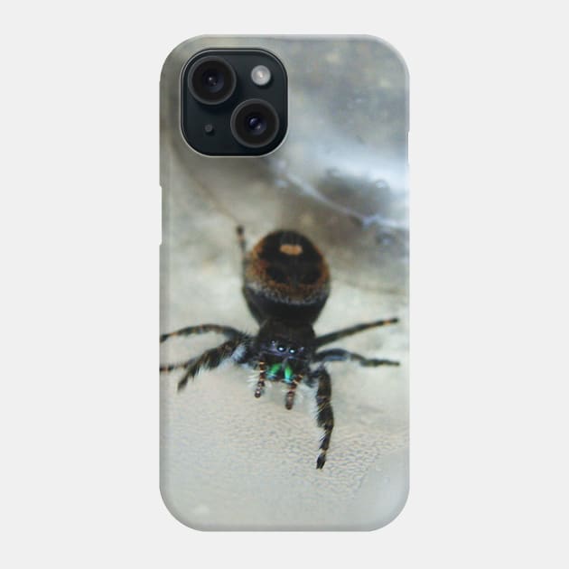 Cute Fuzzy Spider Phone Case by saradaboru