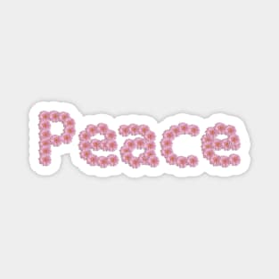 Peace Typography in Pink Daisy Flowers Magnet