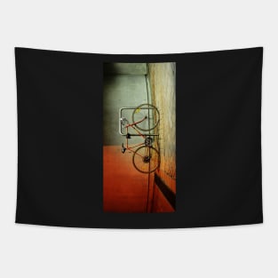 10 speed bike Tapestry