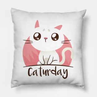 Today is Caturday Pillow