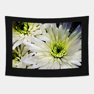 White Chrysanthemum flowers Tapestry