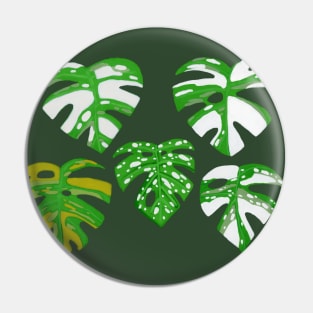 Variegated Monstera in Gouache Pin