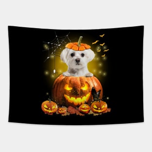 White Maltese Spooky Halloween Pumpkin Dog Head Tapestry