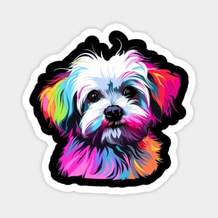 My Maltese Dog Magnet