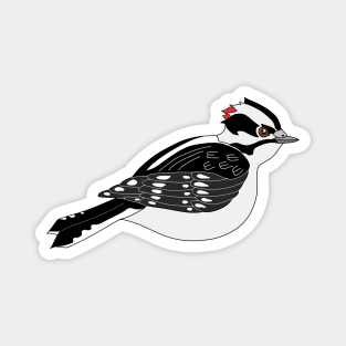 Downy Woodpecker Who Means Business Magnet