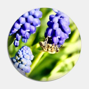 Honey bee X / Swiss Artwork Photography Pin