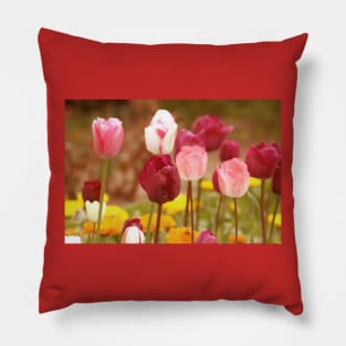 Blossoming pink tulips, romantic spring altered flower photography Pillow