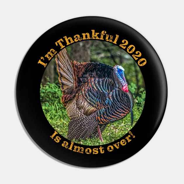 Thanksgiving 2020 Thankful this year is almost over Pin by SteveKight