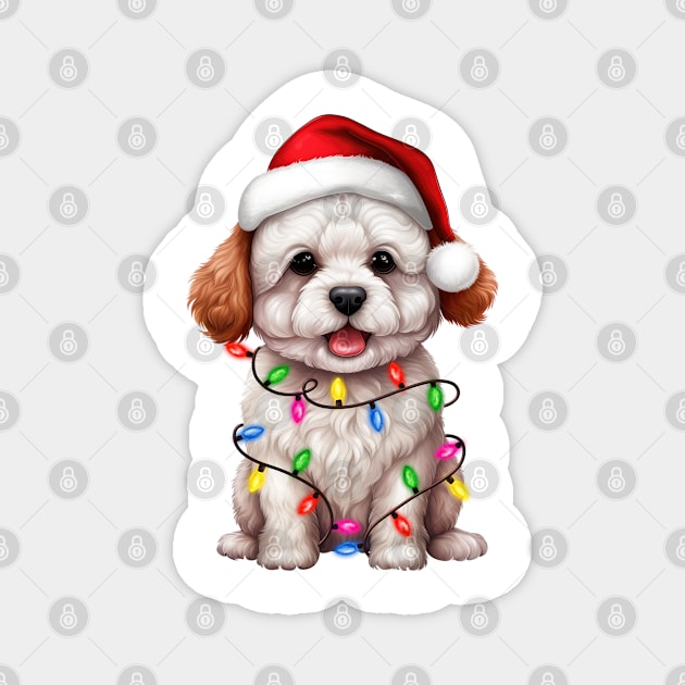 Christmas Bichon Frise Magnet by Chromatic Fusion Studio