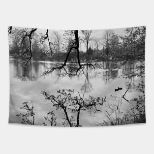 Mirror Lake / Swiss Artwork Photography Tapestry