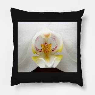 A white Orchid. Pillow