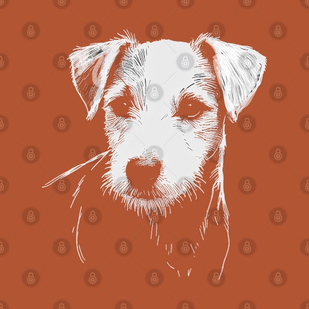 Portrait of a Jack Russell Terrier by ZogDog Pro