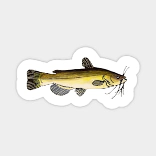 Black Bullhead Magnet