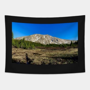 Colorado Mountains Photography Tapestry