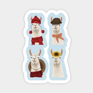 Cute Llama Pack Magnet