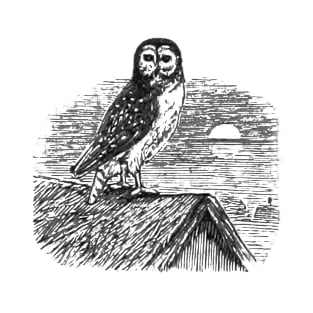 Barn Owl T-Shirt