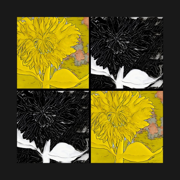 Black and Yellow Square Dahlias by Sarah Curtiss