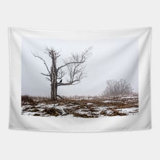 Lone Tree In Fog Tapestry
