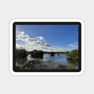 Florida Everglades Magnet