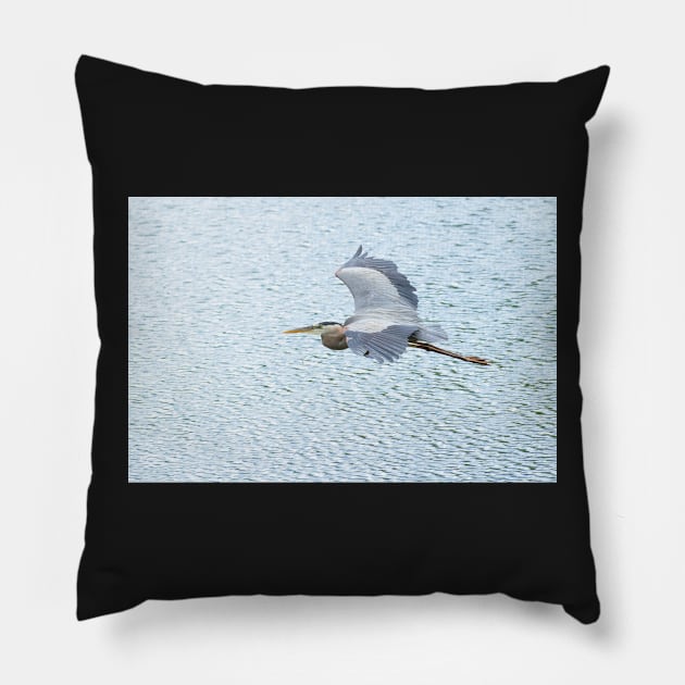 heron Pillow by sarelitay