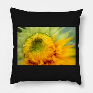 sunflower morph Pillow