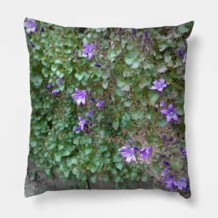 Gentiana Pillow