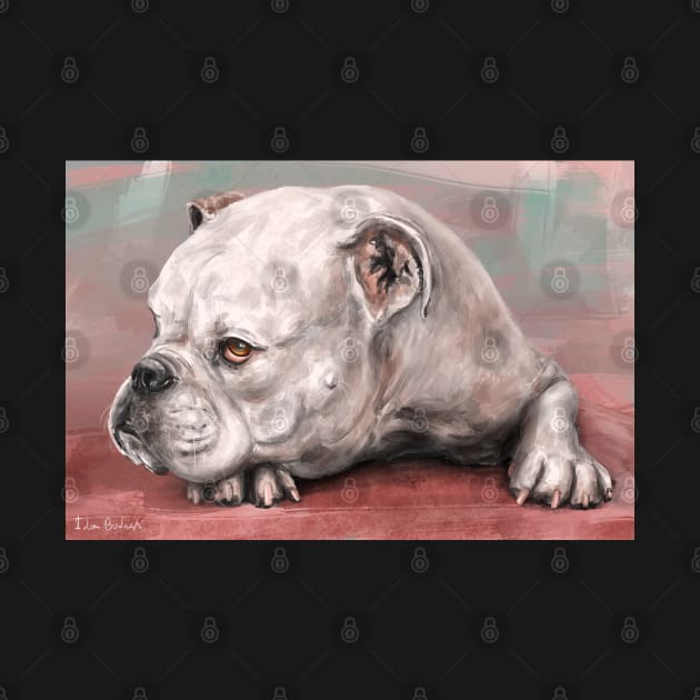 Painting of a White Bulldog Lying on the Floor. Red, Turquoise Background by ibadishi