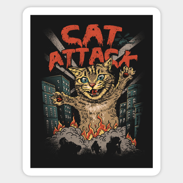 cat attack