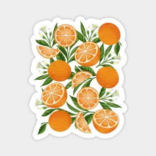 Orange Fruit Magnet