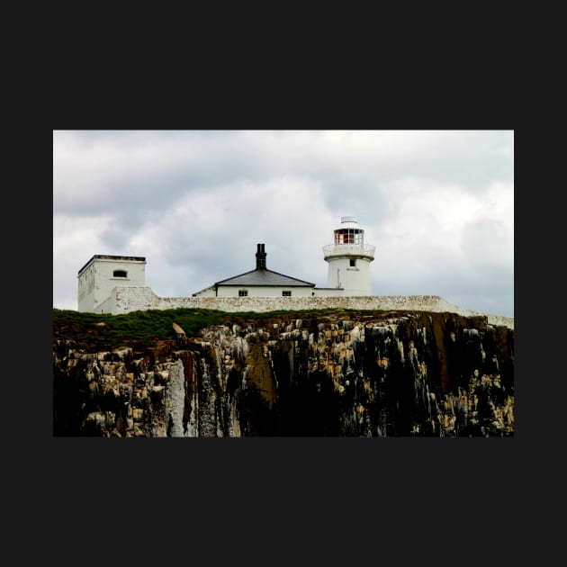 Farne Lighthouse by Ladymoose